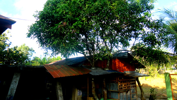 The Nipa Hut and Sari Sari Store in Guimaras