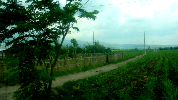 The road to San Carlos City