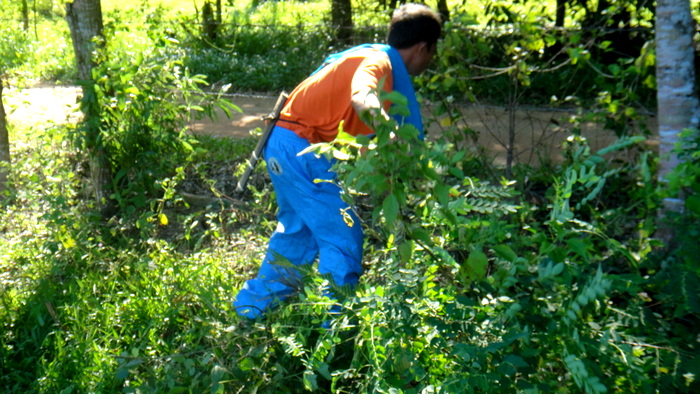 gerry clears out some brush at our property in the philippines
